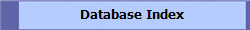 Database Index